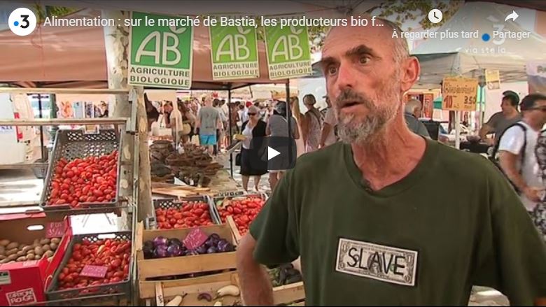 JT Via Stella du 12/08/19: Marché de Bastia, les maraîchers Bio à l’honneur…